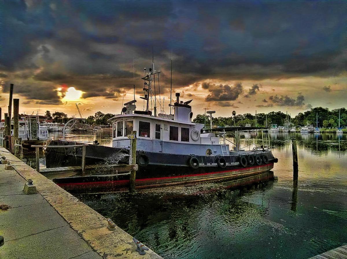 Hibiscus Hideaway Villa Tarpon Springs Buitenkant foto